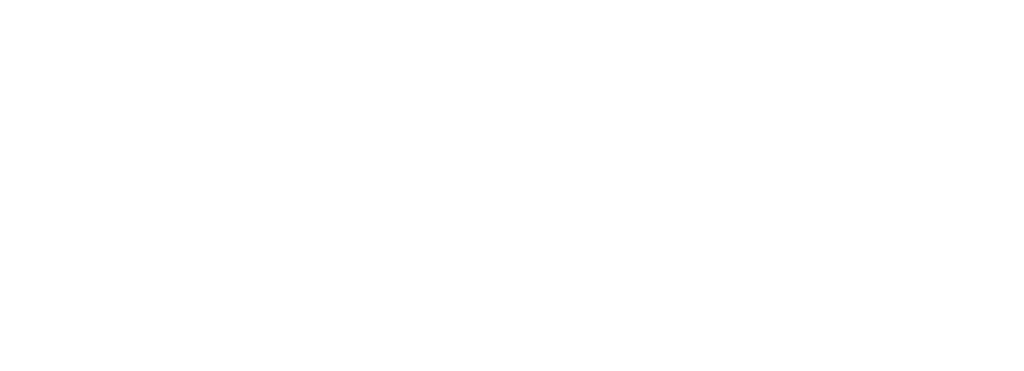 netcom Logo weiß